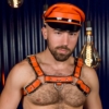 orange on black leather bulldog chest harness