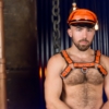 orange on black leather bulldog chest harness