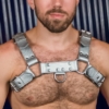 special metallic silver leather bulldog chest harness