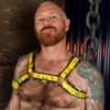 yellow on black leather bulldog chest harness