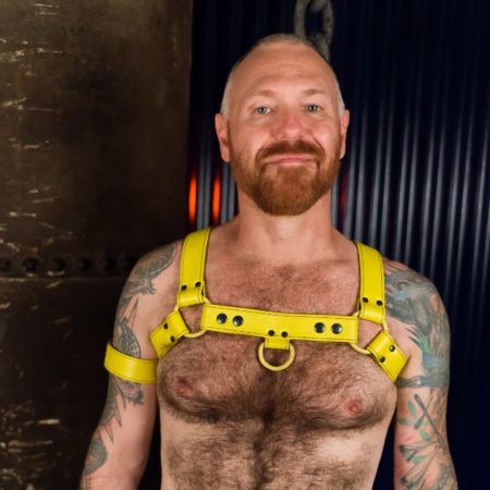 All Yellow Leather Charlie Chest Harness