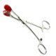 stainless steel young forceps