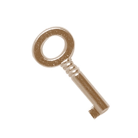 Gold Key for Lock