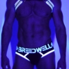 Breedwell USB Rechargeable LED Glow Interchangeable Harness Center Straps Black White