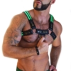Breedwell USB Rechargeable LED Glow Interchangeable Harness Center Straps Green Glow Bulldog