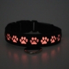 Breedwell Glow Pup Collar - Light Up LED 9 Color Settings