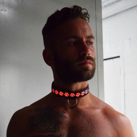 Breedwell Glow Pup Collar - Light Up LED 9 Color Settings